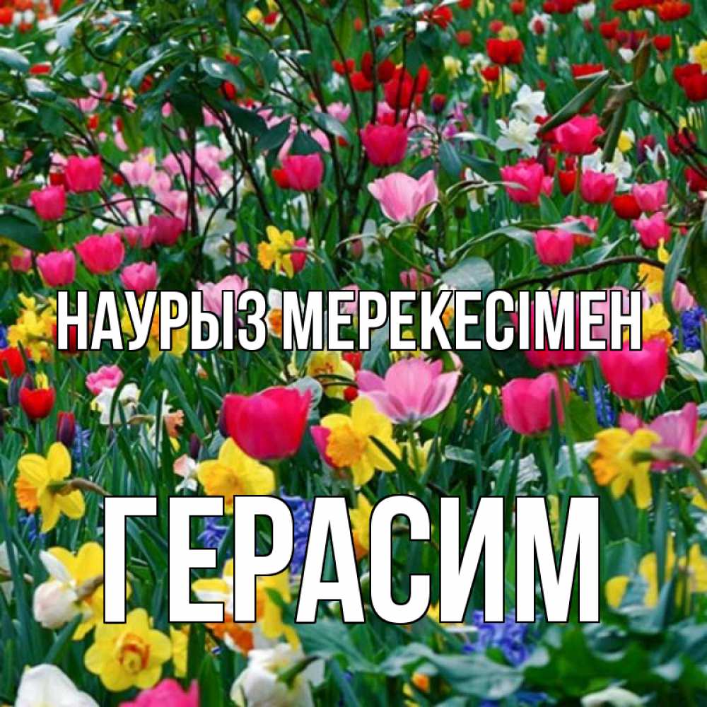 Күн сайын ашық хат с именем, Герасим Наурыз мерекесімен с наурызом праздником весны поздравления для женщины Онлайн тегін жүктеп алу тілектері бар керемет карта 