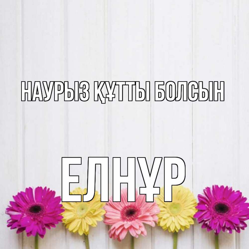Күн сайын ашық хат с именем, Елнұр Наурыз құтты болсын женщинам 1 Онлайн тегін жүктеп алу тілектері бар керемет карта 
