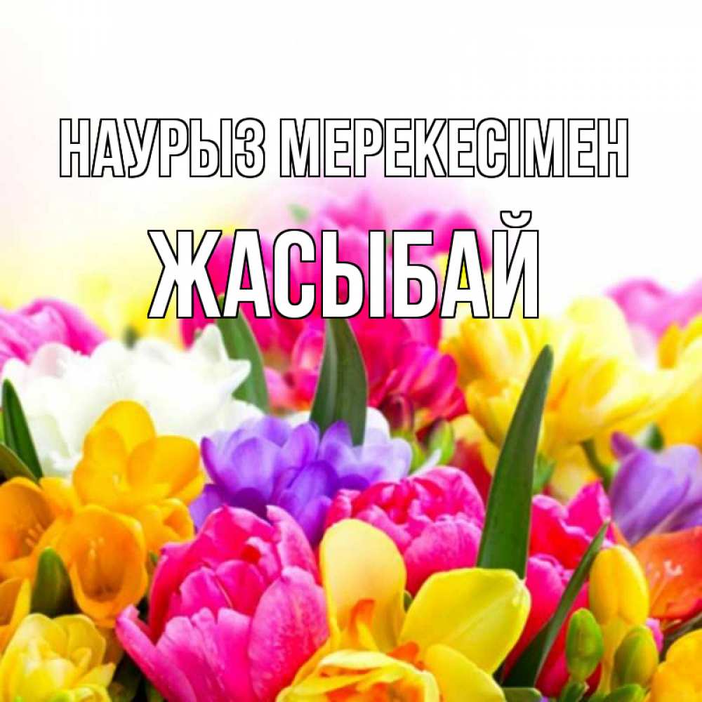 Күн сайын ашық хат с именем, Жасыбай Наурыз мерекесімен тюльпаны Онлайн тегін жүктеп алу тілектері бар керемет карта 
