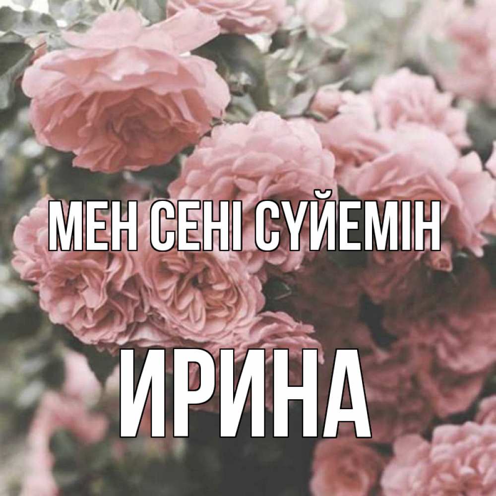 Күн сайын ашық хат с именем, Ирина Мен сені сүйемін розы 3 Онлайн тегін жүктеп алу тілектері бар керемет карта 