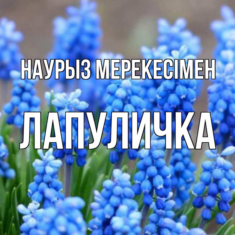 Күн сайын ашық хат с именем, Лапуличка Наурыз мерекесімен Поздравительная открытка для женщин с цветами на праздничную дату Онлайн тегін жүктеп алу тілектері бар керемет карта 