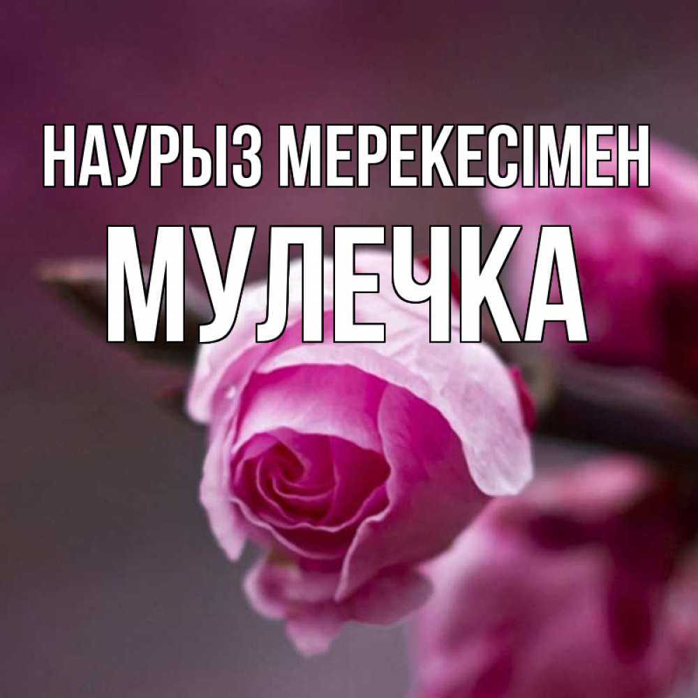 Күн сайын ашық хат с именем, Мулечка Наурыз мерекесімен весна Онлайн тегін жүктеп алу тілектері бар керемет карта 