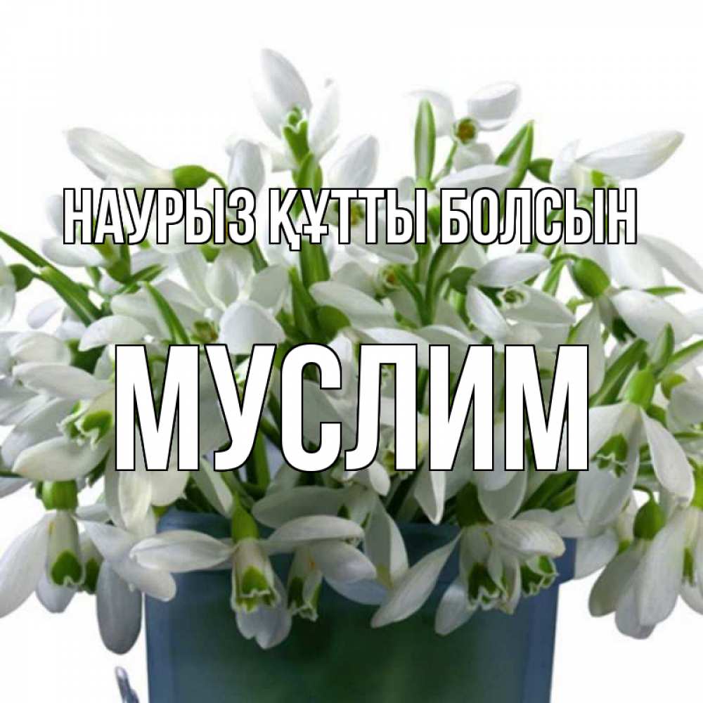 Күн сайын ашық хат с именем, Муслим Наурыз құтты болсын цветы к наурызу Онлайн тегін жүктеп алу тілектері бар керемет карта 