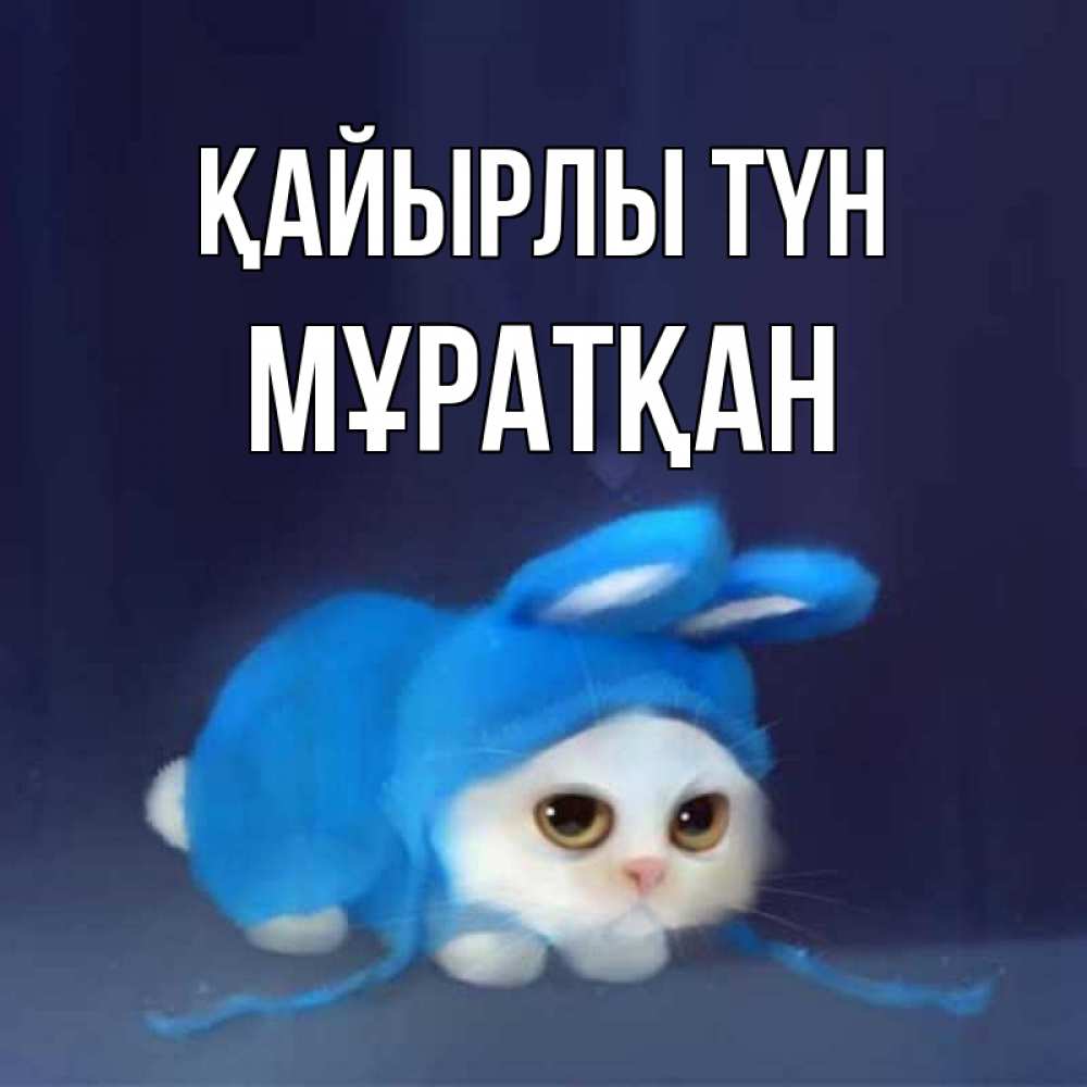Күн сайын ашық хат с именем, Мұратқан Қайырлы түн кот в голубом костюме кролика с ушками Онлайн тегін жүктеп алу тілектері бар керемет карта 