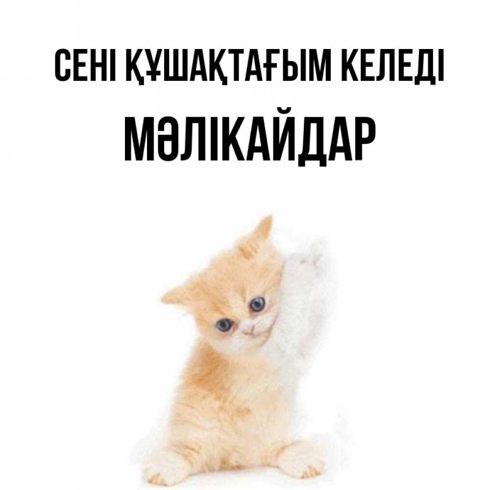 Күн сайын ашық хат с именем, МӘЛІКАЙДАР сені құшақтағым келеді я хочу очень скорее обнимаешек Онлайн тегін жүктеп алу тілектері бар керемет карта 