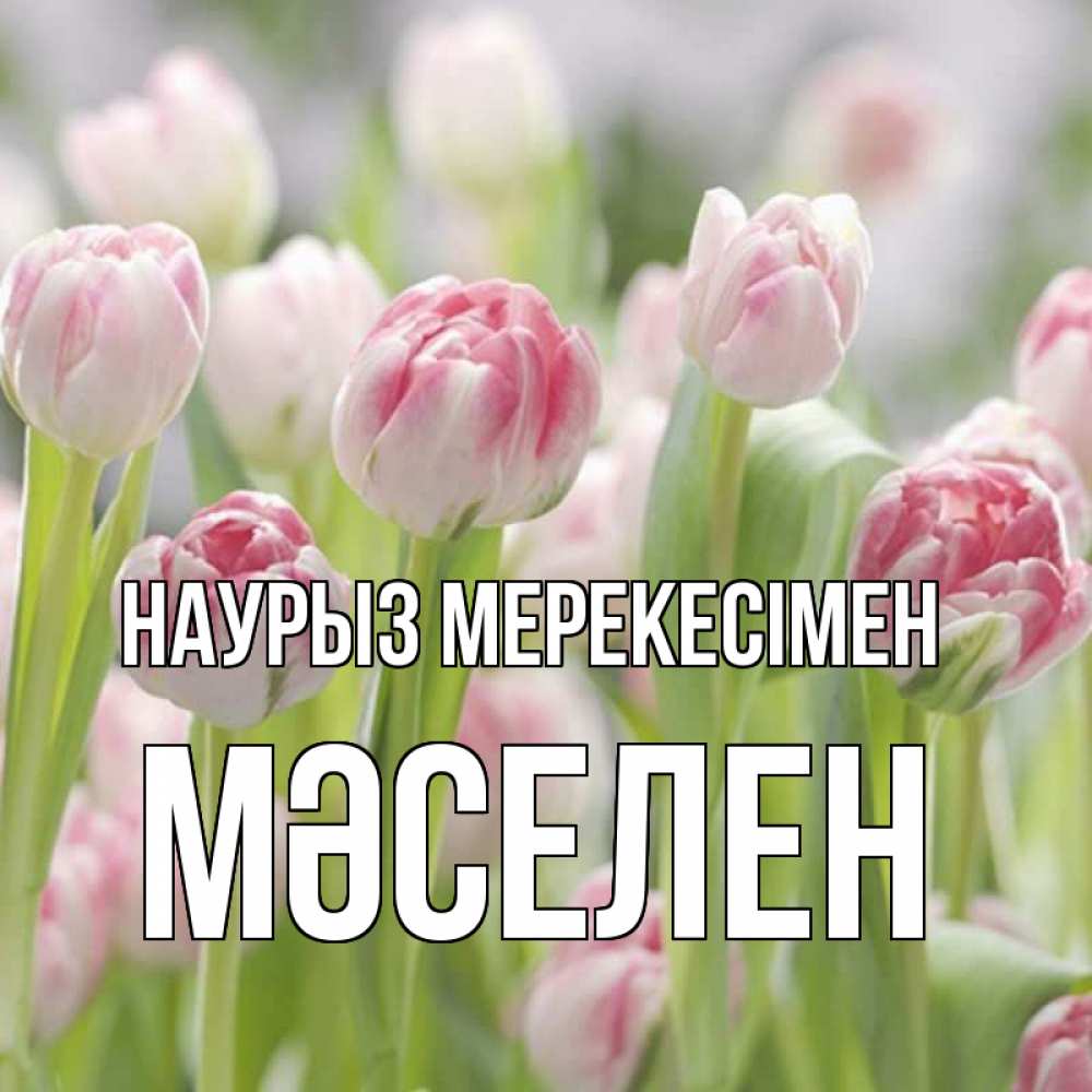Күн сайын ашық хат с именем, Мәселен Наурыз мерекесімен цветы Онлайн тегін жүктеп алу тілектері бар керемет карта 