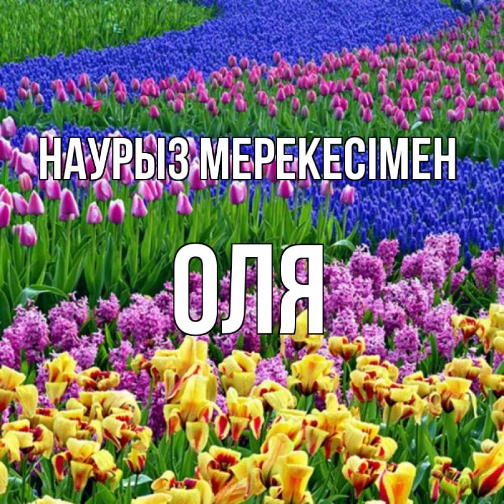 Күн сайын ашық хат с именем, Оля Наурыз мерекесімен цветы Онлайн тегін жүктеп алу тілектері бар керемет карта 
