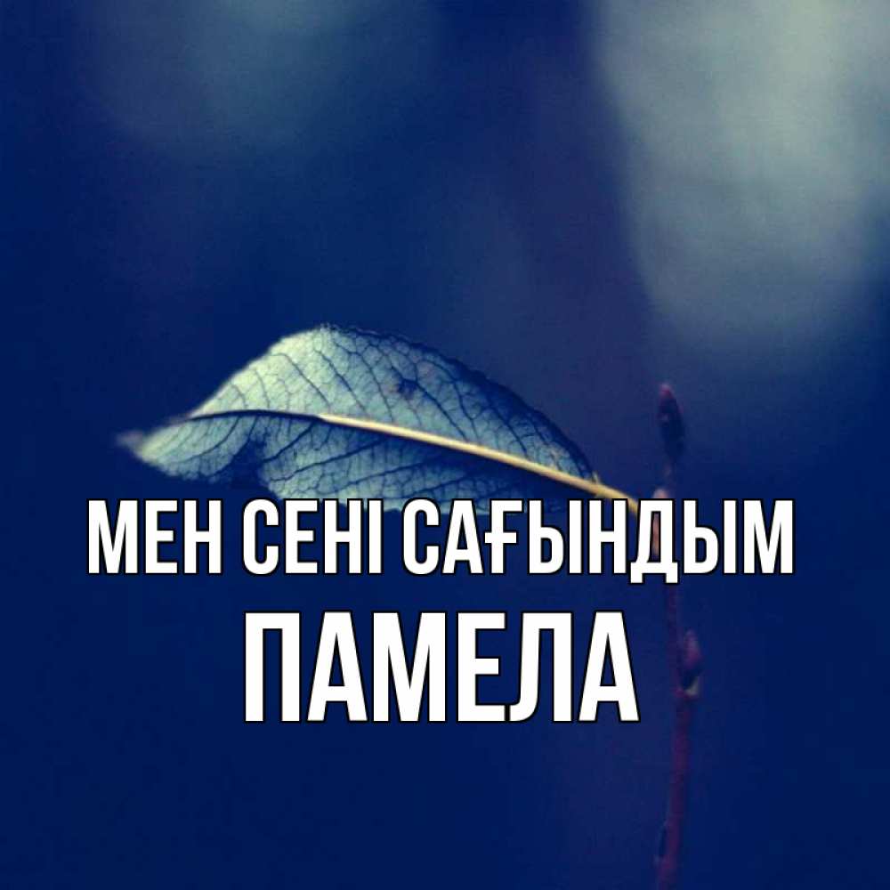 Күн сайын ашық хат с именем, Памела Мен сені сағындым одна ветка 1 Онлайн тегін жүктеп алу тілектері бар керемет карта 