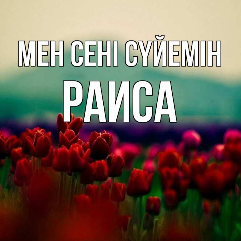 Күн сайын ашық хат с именем, Раиса Мен сені сүйемін тюльпаны 4 Онлайн тегін жүктеп алу тілектері бар керемет карта 