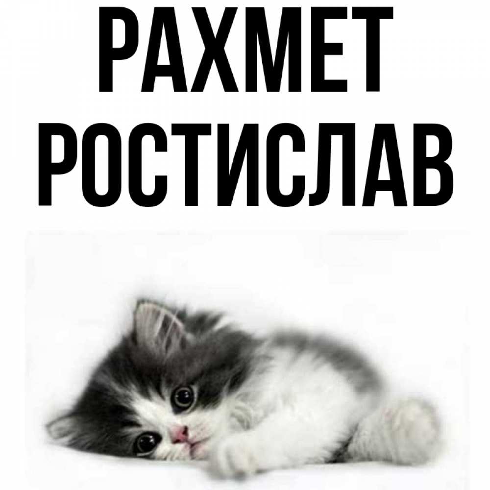 Күн сайын ашық хат с именем, Ростислав рахмет черный и белый кот Онлайн тегін жүктеп алу тілектері бар керемет карта 