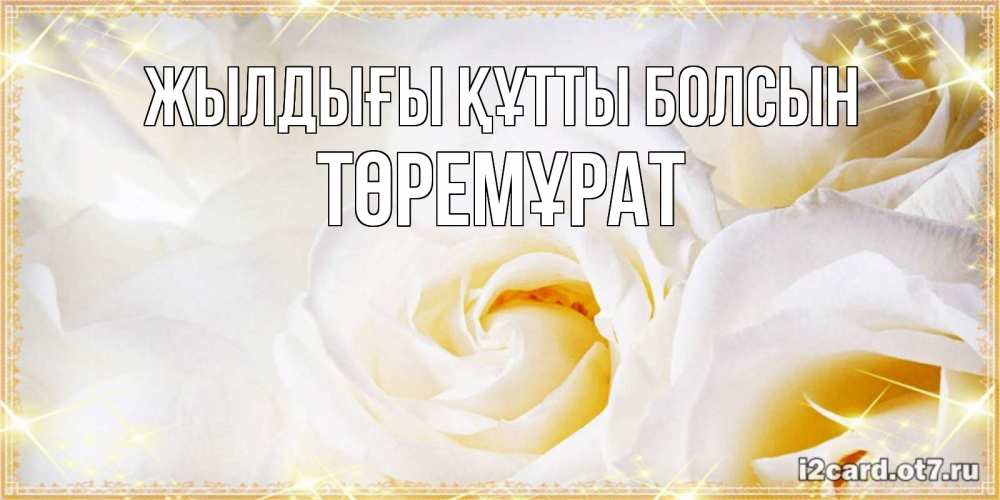 Күн сайын ашық хат с именем, Төремұрат Жылдығы құтты болсын красивые розы и капли росы на этих чудесных цветах Онлайн тегін жүктеп алу тілектері бар керемет карта 