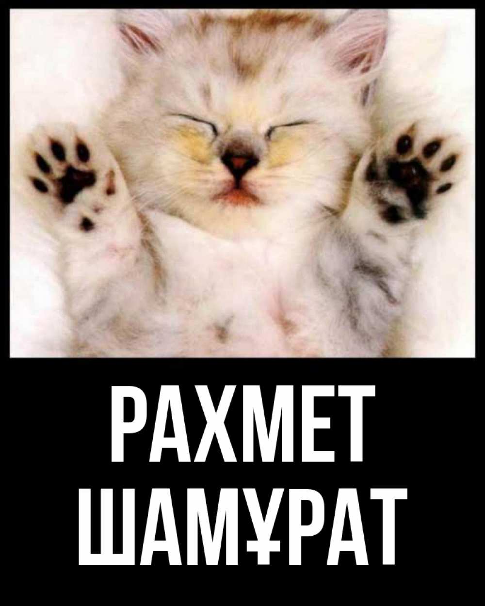 Күн сайын ашық хат с именем, ШАМҰРАТ рахмет маленький котенок Онлайн тегін жүктеп алу тілектері бар керемет карта 