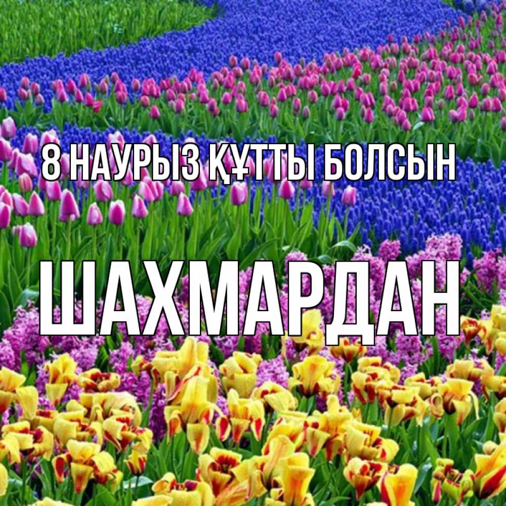 Күн сайын ашық хат с именем, ШАХМАРДАН 8 наурыз құтты болсын цветы Онлайн тегін жүктеп алу тілектері бар керемет карта 