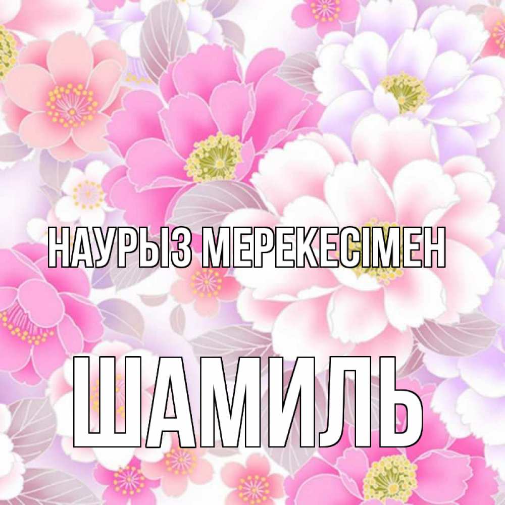 Күн сайын ашық хат с именем, Шамиль Наурыз мерекесімен для женщин Онлайн тегін жүктеп алу тілектері бар керемет карта 