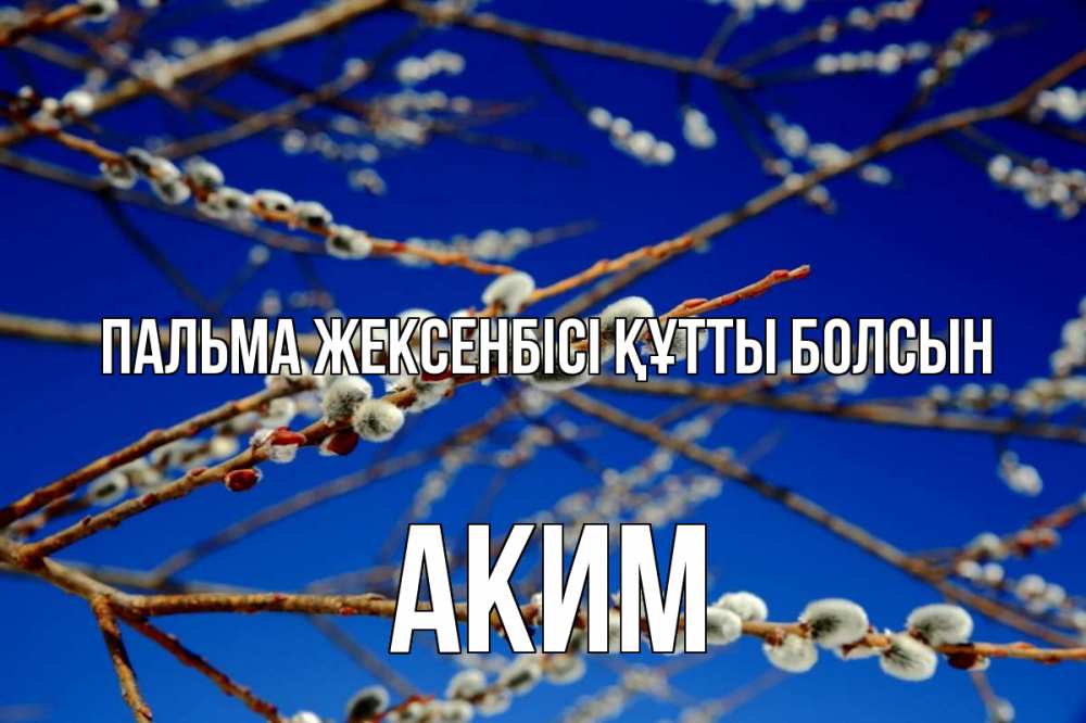 Күн сайын ашық хат с именем, Аким Пальма жексенбісі құтты болсын верба Онлайн тегін жүктеп алу тілектері бар керемет карта 