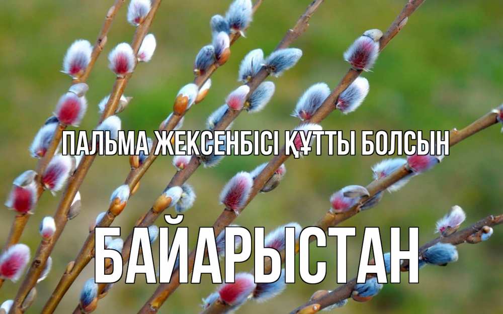 Күн сайын ашық хат с именем, Байарыстан Пальма жексенбісі құтты болсын верба Онлайн тегін жүктеп алу тілектері бар керемет карта 
