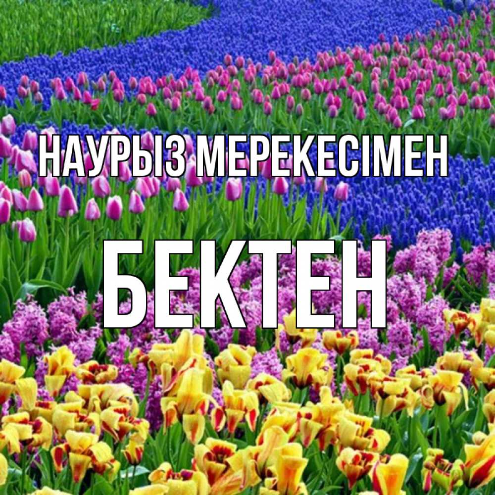 Күн сайын ашық хат с именем, Бектен Наурыз мерекесімен цветы Онлайн тегін жүктеп алу тілектері бар керемет карта 