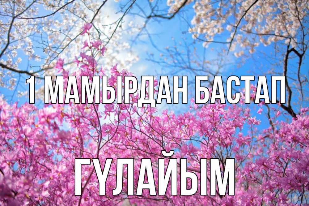 Күн сайын ашық хат с именем, ГҮЛАЙЫМ 1 мамырдан бастап С 1 мая Онлайн тегін жүктеп алу тілектері бар керемет карта 