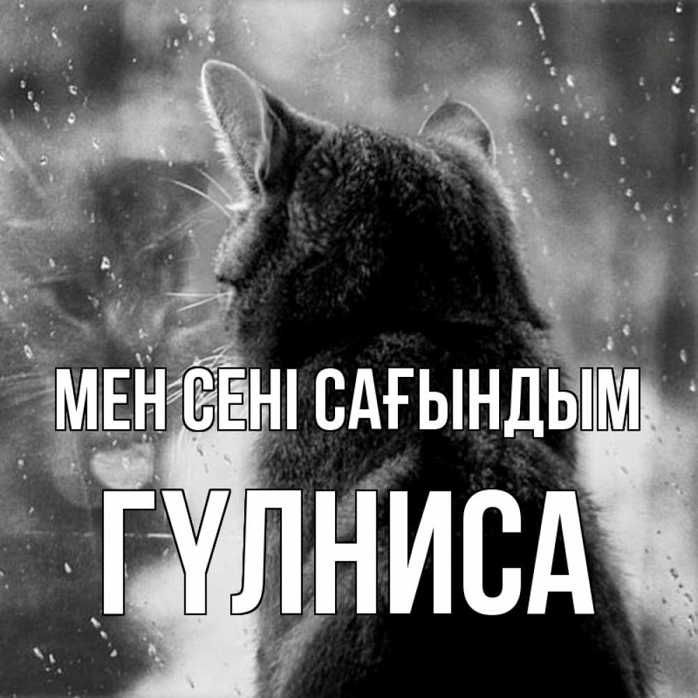 Күн сайын ашық хат с именем, ГҮЛНИСА Мен сені сағындым скорее ко мне приходи 1 Онлайн тегін жүктеп алу тілектері бар керемет карта 