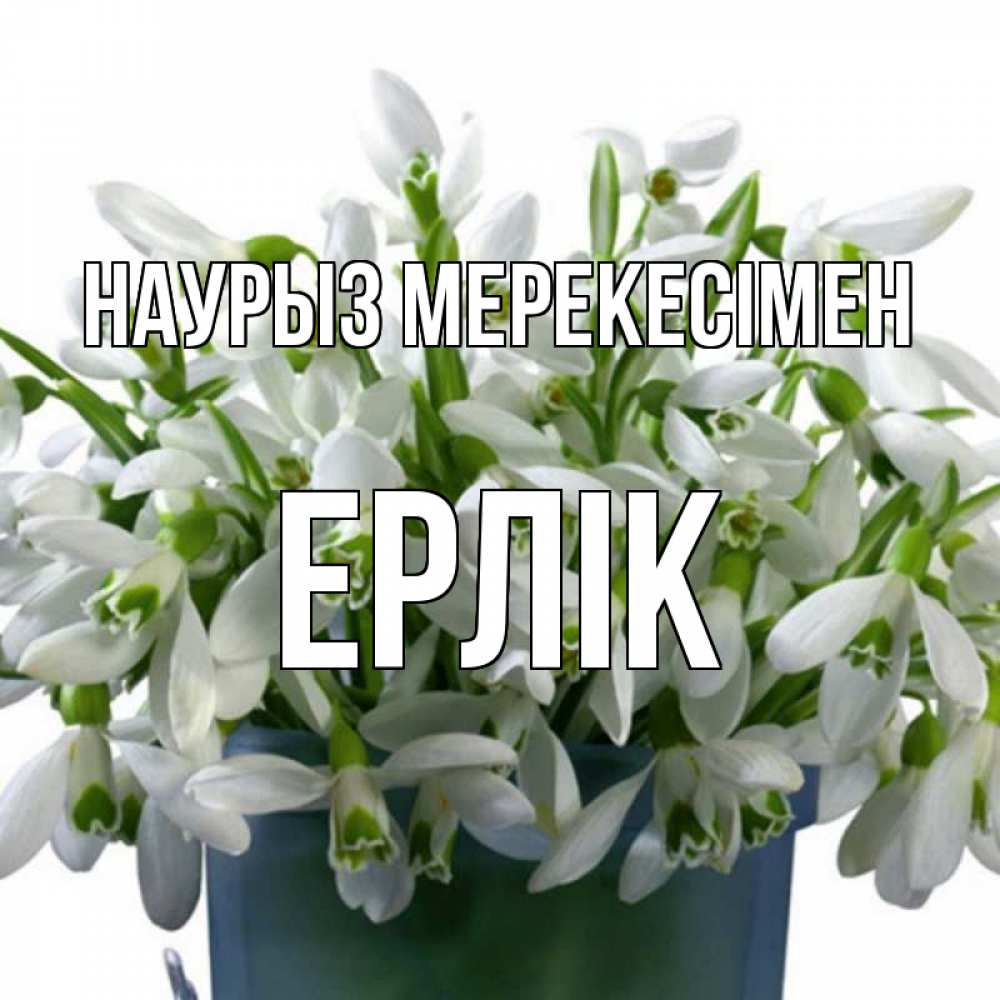 Күн сайын ашық хат с именем, Ерлік Наурыз мерекесімен цветы к наурызу новый год в Казахстане Онлайн тегін жүктеп алу тілектері бар керемет карта 