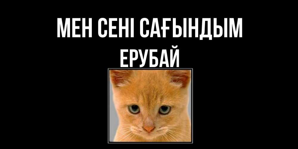 Күн сайын ашық хат с именем, Ерубай Мен сені сағындым открытки рыжий котенок скучает по тебе Онлайн тегін жүктеп алу тілектері бар керемет карта 
