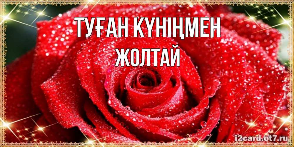 Күн сайын ашық хат с именем, Жолтай Туған күніңмен роса и роза. открытка с красивой розой Онлайн тегін жүктеп алу тілектері бар керемет карта 
