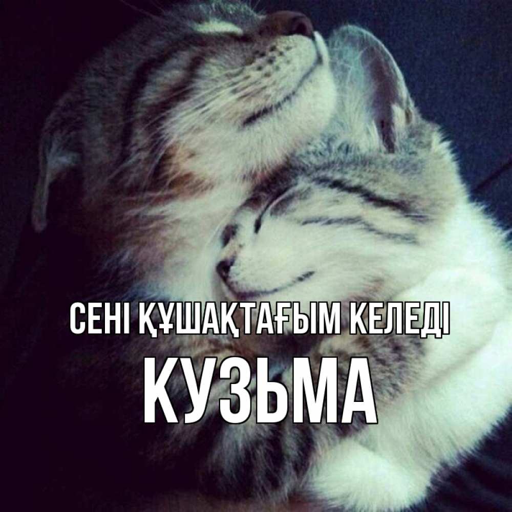 Күн сайын ашық хат с именем, Кузьма сені құшақтағым келеді полосатики Онлайн тегін жүктеп алу тілектері бар керемет карта 