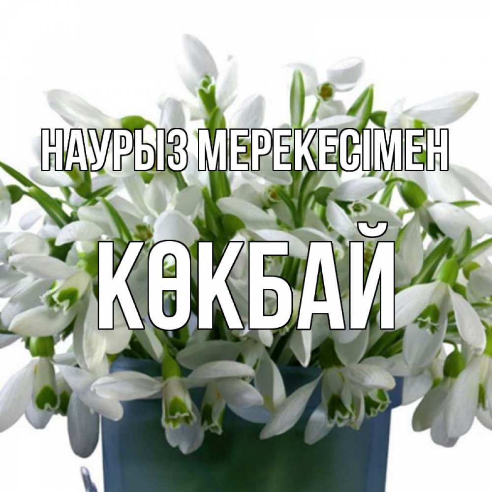 Күн сайын ашық хат с именем, Көкбай Наурыз мерекесімен цветы к наурызу новый год в Казахстане Онлайн тегін жүктеп алу тілектері бар керемет карта 