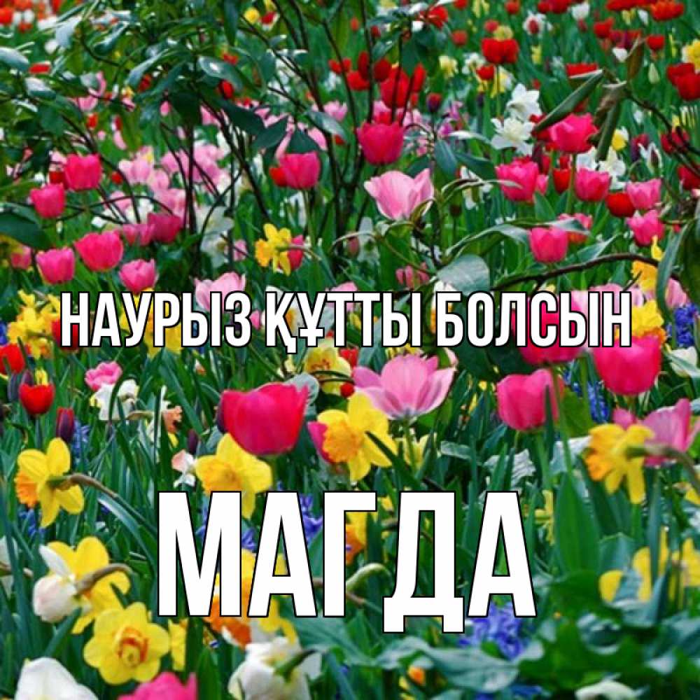Күн сайын ашық хат с именем, Магда Наурыз құтты болсын с наурызом поздравления для женщины Онлайн тегін жүктеп алу тілектері бар керемет карта 