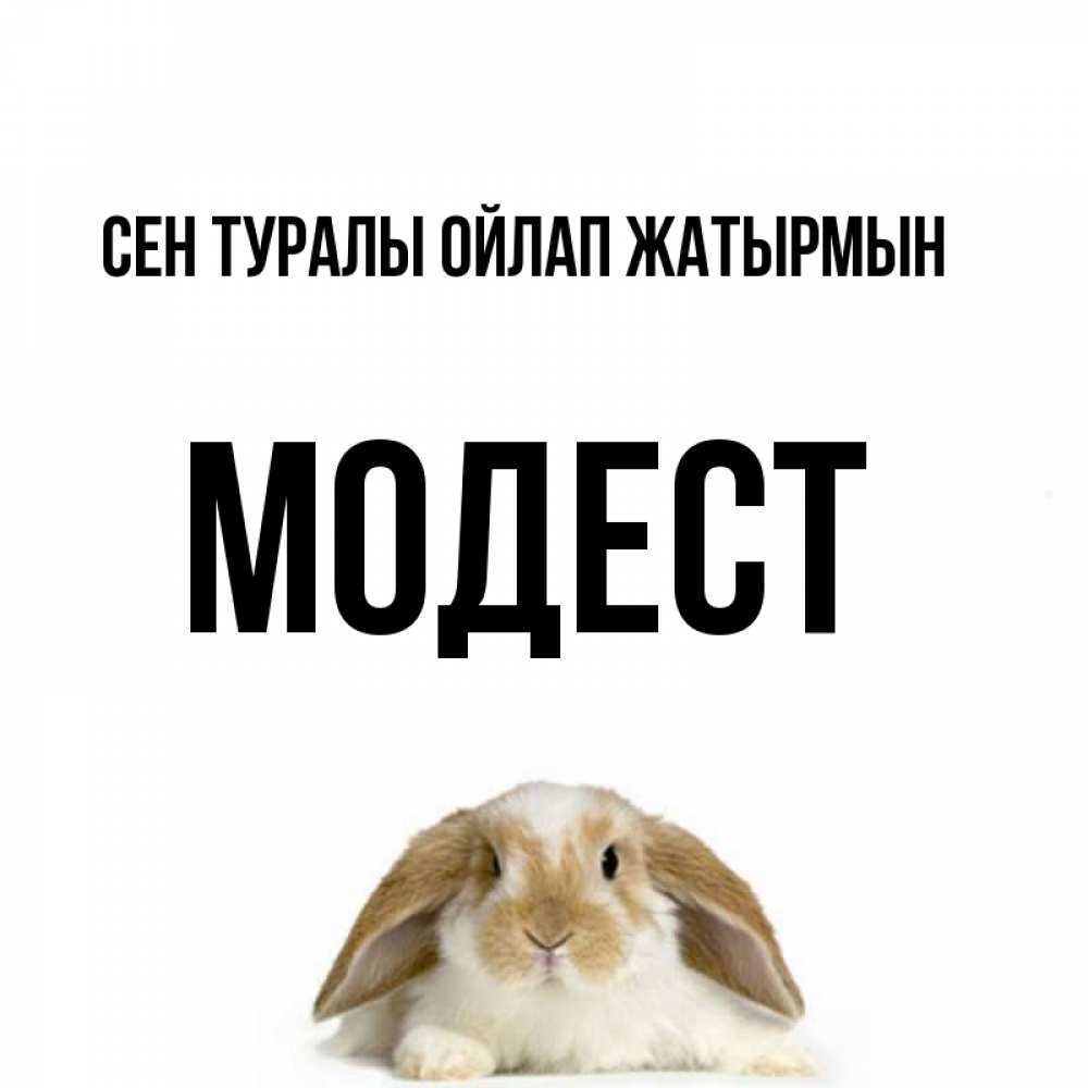 Күн сайын ашық хат с именем, Модест Сен туралы ойлап жатырмын подписать своими руками онлайн Онлайн тегін жүктеп алу тілектері бар керемет карта 