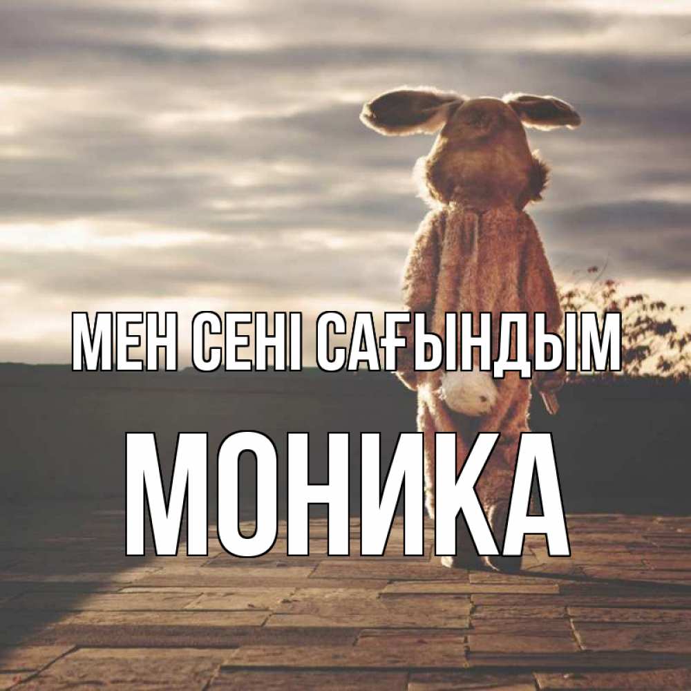 Күн сайын ашық хат с именем, Моника Мен сені сағындым даже в костюме зайца Онлайн тегін жүктеп алу тілектері бар керемет карта 