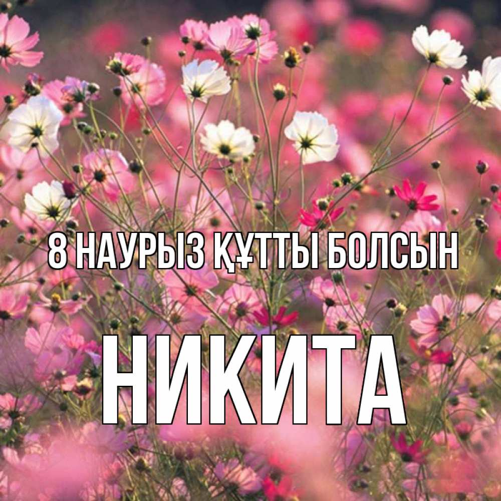 Күн сайын ашық хат с именем, Никита 8 наурыз құтты болсын красиво 1 Онлайн тегін жүктеп алу тілектері бар керемет карта 