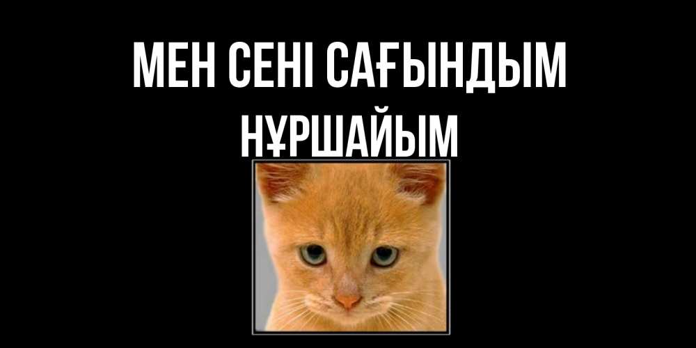 Күн сайын ашық хат с именем, НҰРШАЙЫМ Мен сені сағындым открытки рыжий котенок скучает по тебе Онлайн тегін жүктеп алу тілектері бар керемет карта 