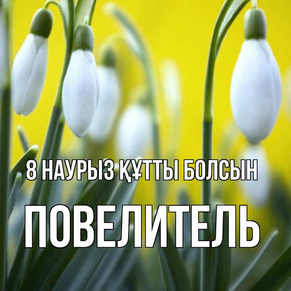 Күн сайын ашық хат с именем, Повелитель 8 наурыз құтты болсын весенние цветы Онлайн тегін жүктеп алу тілектері бар керемет карта 
