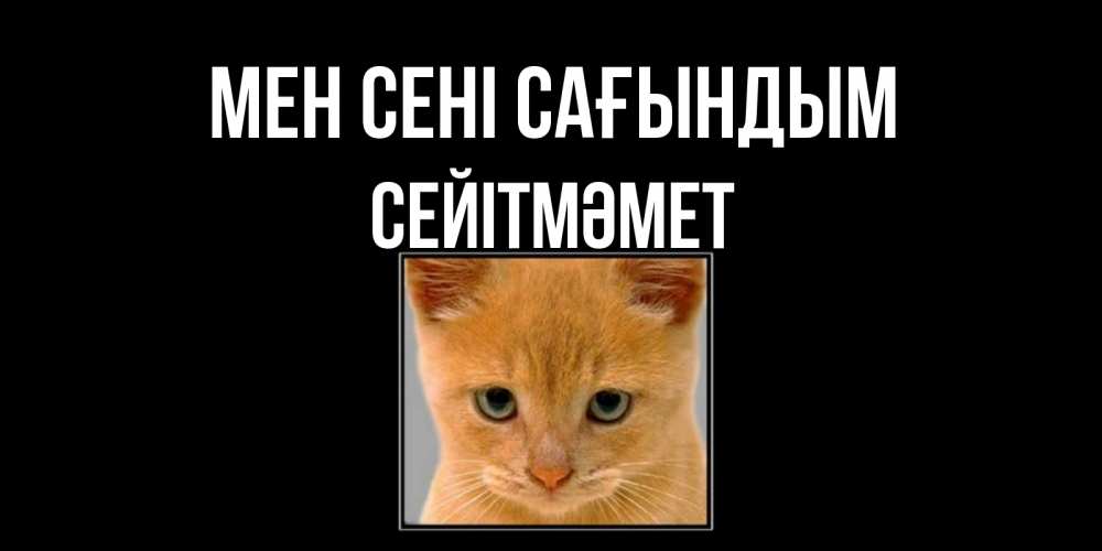 Күн сайын ашық хат с именем, СЕЙІТМӘМЕТ Мен сені сағындым открытки рыжий котенок скучает по тебе Онлайн тегін жүктеп алу тілектері бар керемет карта 