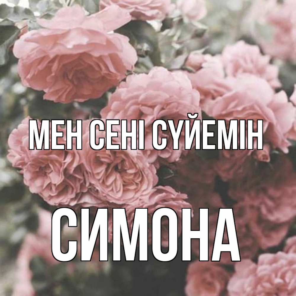 Күн сайын ашық хат с именем, Симона Мен сені сүйемін розы 3 Онлайн тегін жүктеп алу тілектері бар керемет карта 
