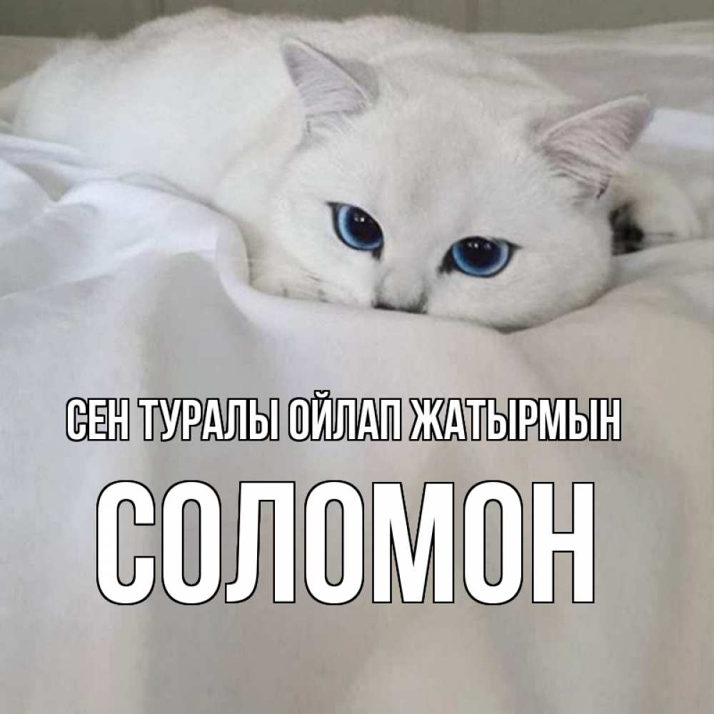 Күн сайын ашық хат с именем, Соломон Сен туралы ойлап жатырмын я очень по тебе скучаю и тоскую Онлайн тегін жүктеп алу тілектері бар керемет карта 