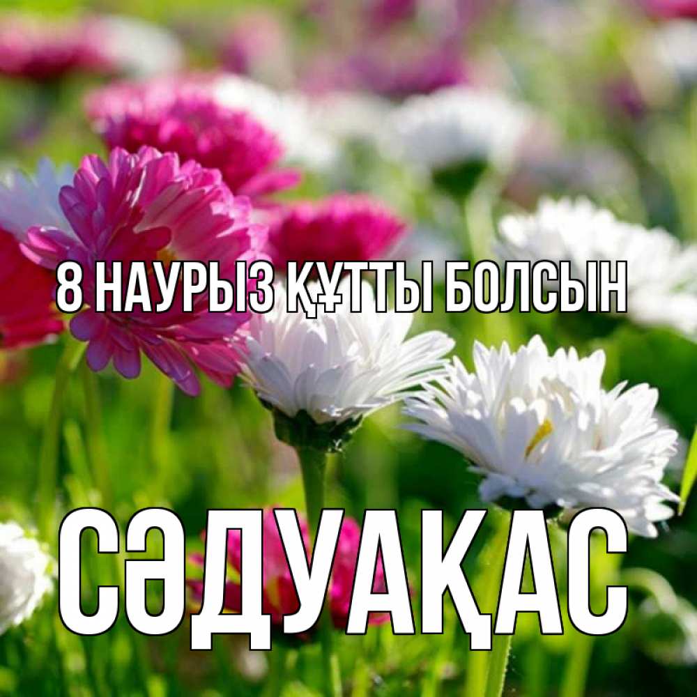 Күн сайын ашық хат с именем, СӘДУАҚАС 8 наурыз құтты болсын международный женский день 1 Онлайн тегін жүктеп алу тілектері бар керемет карта 