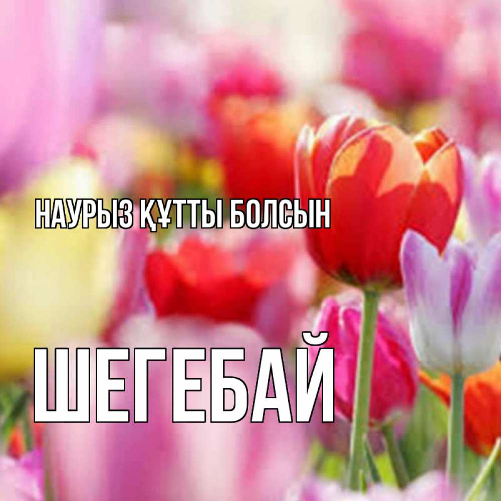 Күн сайын ашық хат с именем, ШЕГЕБАЙ Наурыз құтты болсын на наурыз  2 Онлайн тегін жүктеп алу тілектері бар керемет карта 