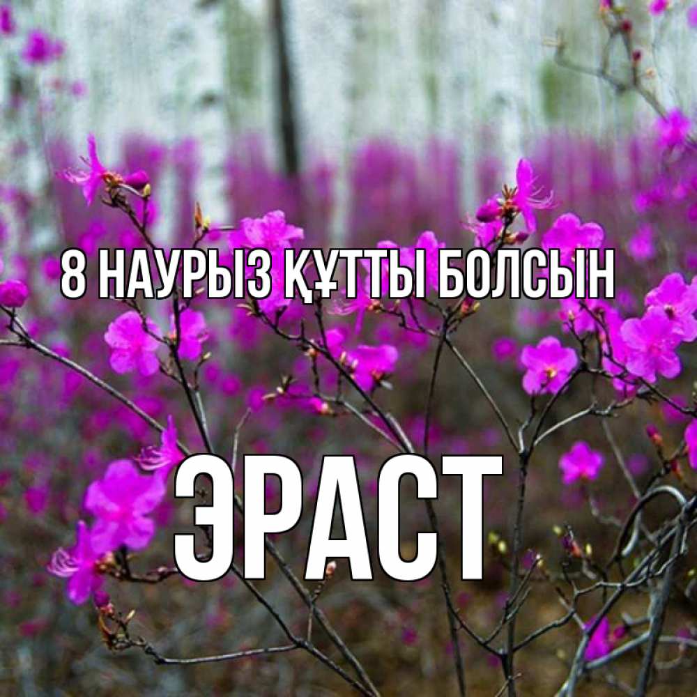 Күн сайын ашық хат с именем, Эраст 8 наурыз құтты болсын дикие цветы Онлайн тегін жүктеп алу тілектері бар керемет карта 