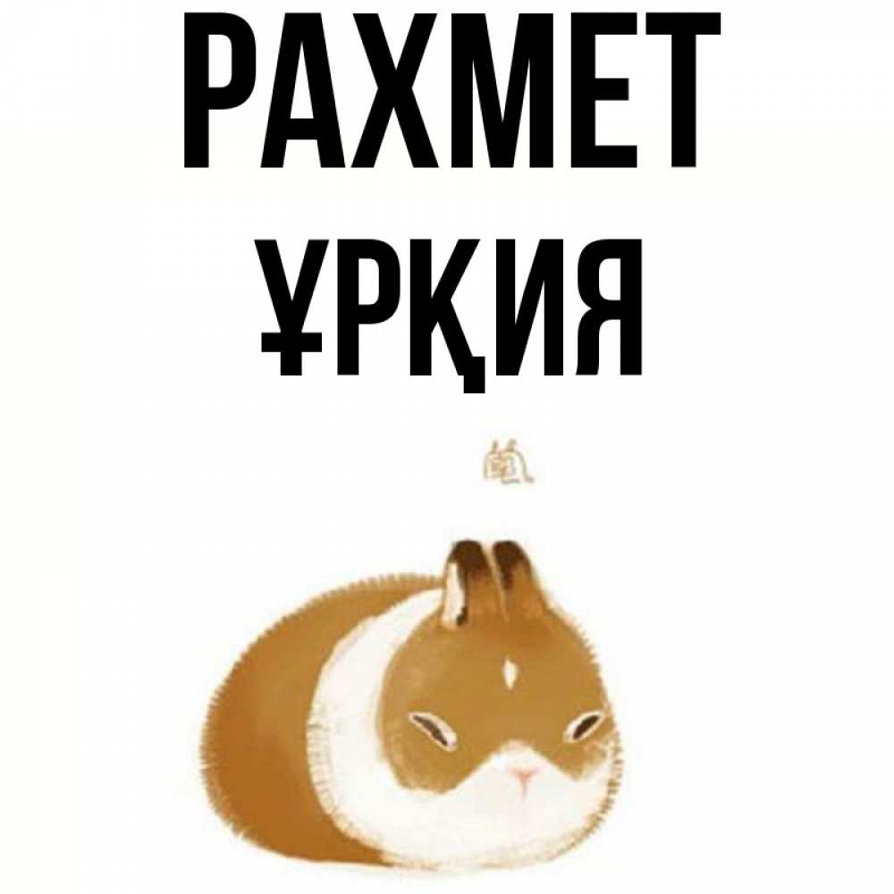 Күн сайын ашық хат с именем, ҰРҚИЯ рахмет коричнево белый домашний питомец Онлайн тегін жүктеп алу тілектері бар керемет карта 