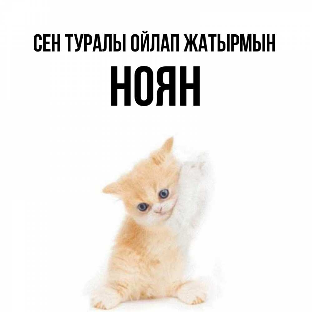 Күн сайын ашық хат с именем, НОЯН Сен туралы ойлап жатырмын зверушки и милота Онлайн тегін жүктеп алу тілектері бар керемет карта 