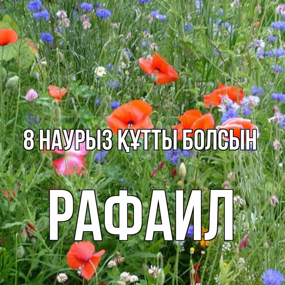 Күн сайын ашық хат с именем, Рафаил 8 наурыз құтты болсын международный женский день 4 Онлайн тегін жүктеп алу тілектері бар керемет карта 
