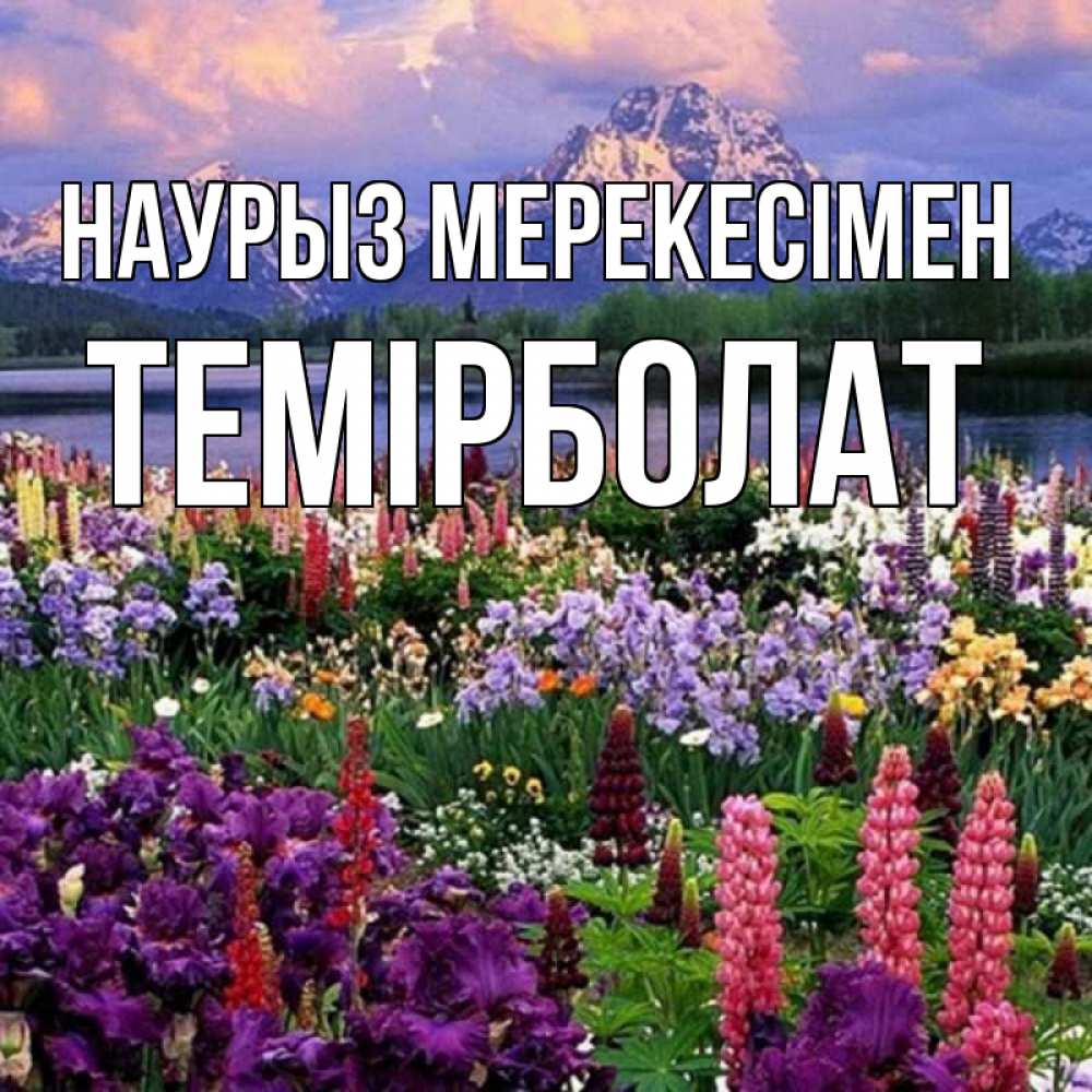 Күн сайын ашық хат с именем, ТЕМІРБОЛАТ Наурыз мерекесімен праздник весны наурыз Онлайн тегін жүктеп алу тілектері бар керемет карта 