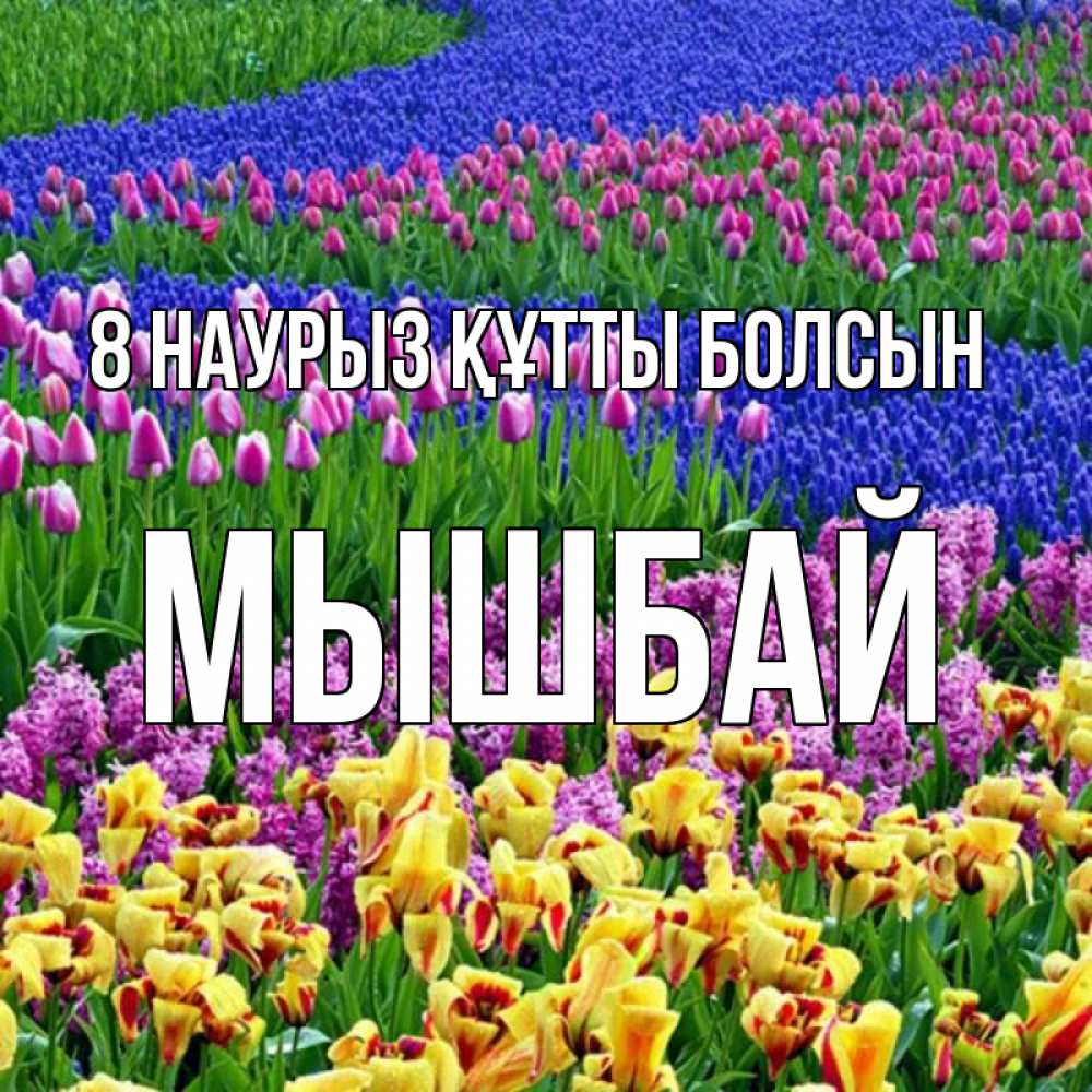 Күн сайын ашық хат с именем, МЫШБАЙ 8 наурыз құтты болсын цветы Онлайн тегін жүктеп алу тілектері бар керемет карта 