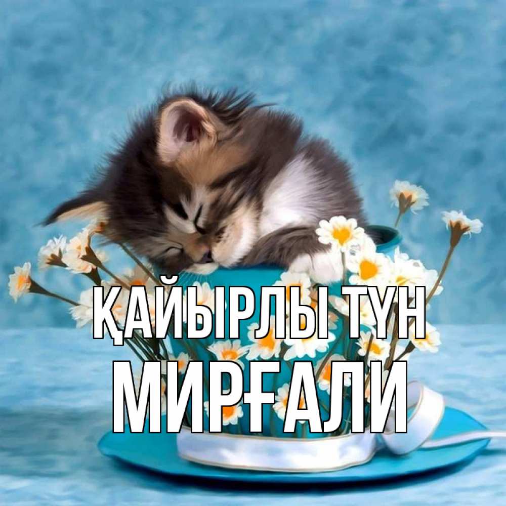 Күн сайын ашық хат с именем, МИРҒАЛИ Қайырлы түн котенок спит в кружке с блюдцем Онлайн тегін жүктеп алу тілектері бар керемет карта 