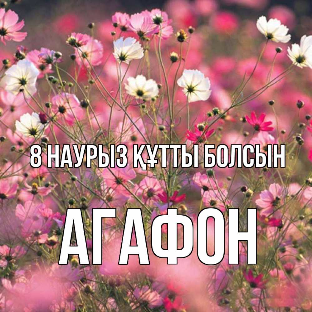 Күн сайын ашық хат с именем, Агафон 8 наурыз құтты болсын красиво 1 Онлайн тегін жүктеп алу тілектері бар керемет карта 