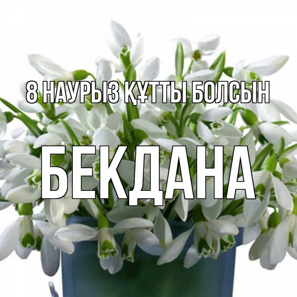 Күн сайын ашық хат с именем, БЕКДАНА 8 наурыз құтты болсын цветы к международному женскому дню Онлайн тегін жүктеп алу тілектері бар керемет карта 