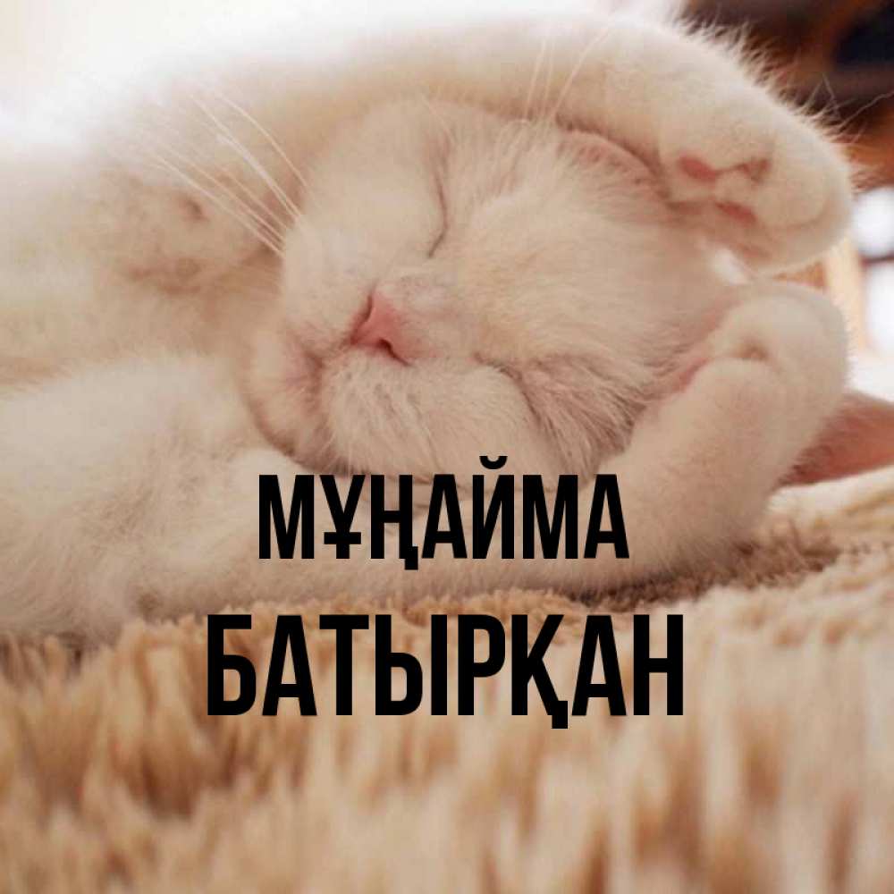 Күн сайын ашық хат с именем, Батырқан Мұңайма Котенок спит Онлайн тегін жүктеп алу тілектері бар керемет карта 