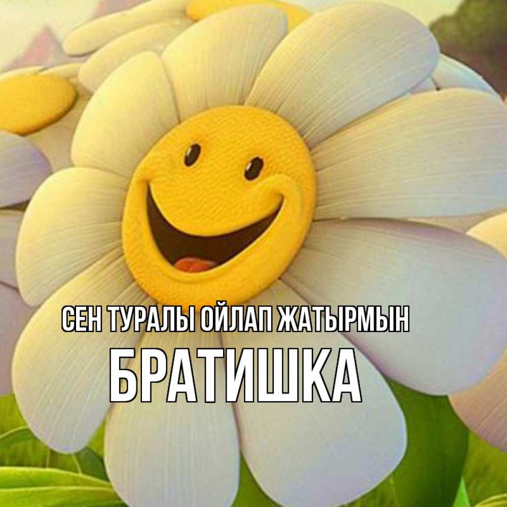 Күн сайын ашық хат с именем, Братишка Сен туралы ойлап жатырмын позитивные мысли Онлайн тегін жүктеп алу тілектері бар керемет карта 